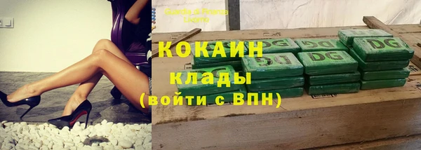 сатива Белокуриха