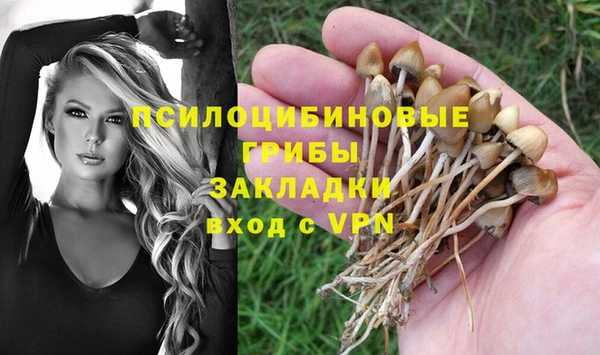 а пвп мука Бежецк