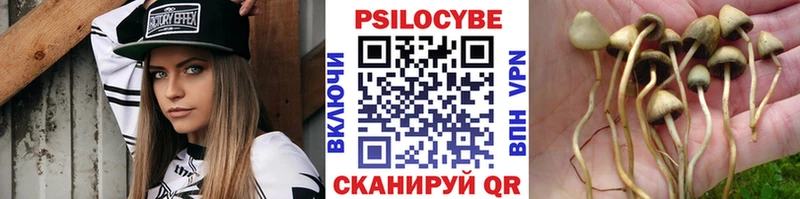 Галлюциногенные грибы Cubensis  Купить  Выборг 